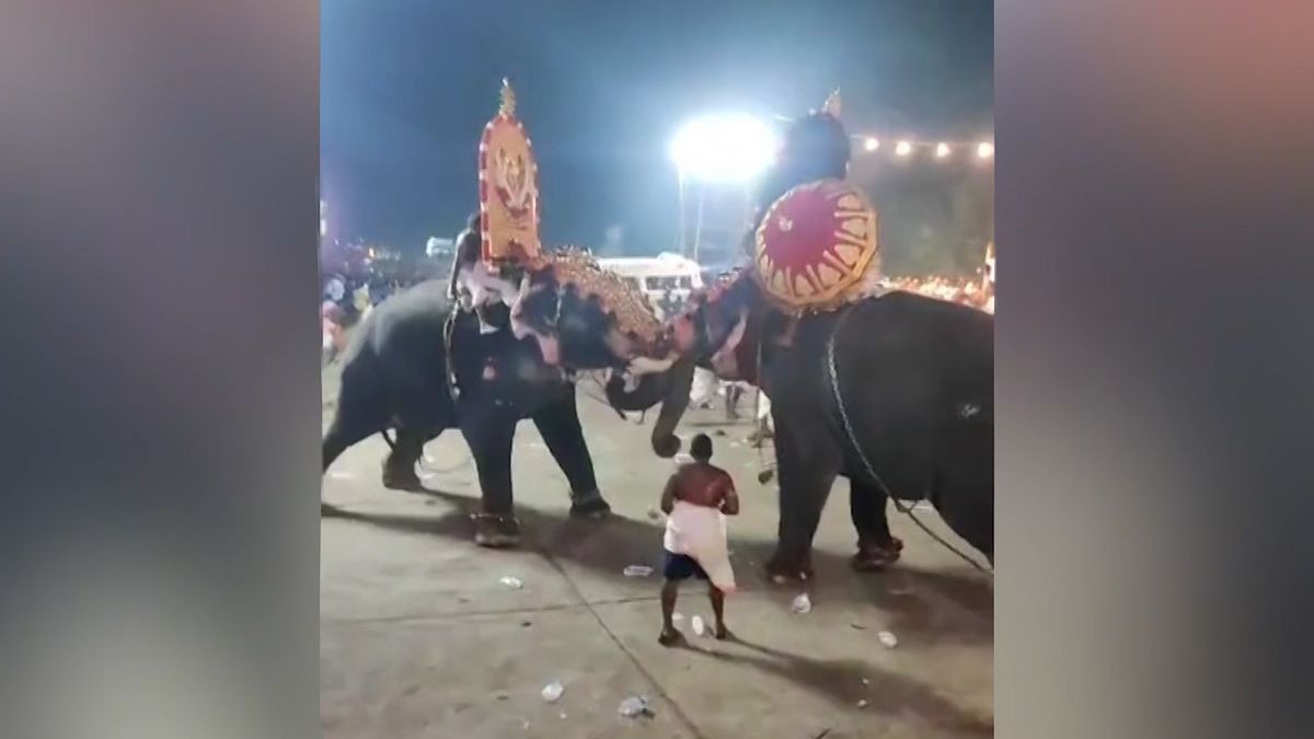 Při hinduistickém festivalu se porvali dva sloni. V panice se zranily desítky lidí